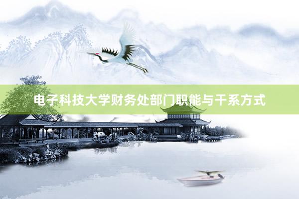 电子科技大学财务处部门职能与干系方式